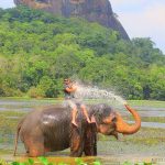Enviro photo 017 Enviro Sri Lanka | We specialize in tour packages to Sri Lanka which offers unparalleled hospitality and life long memories.