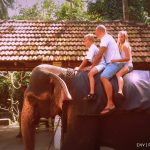 Enviro photo 038 Enviro Sri Lanka | We specialize in tour packages to Sri Lanka which offers unparalleled hospitality and life long memories.